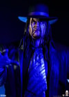The Undertaker: Summer Slam '94
