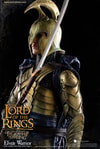 Elven Warrior- Prototype Shown