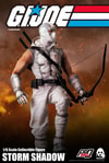 Storm Shadow (Prototype Shown) View 10