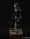 Catwoman (Prototype Shown) View 2
