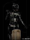Catwoman (Prototype Shown) View 6