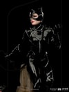 Catwoman (Prototype Shown) View 8