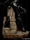 Catwoman (Prototype Shown) View 9