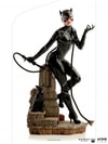 Catwoman (Prototype Shown) View 14