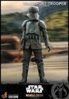Transport Trooper™ (Prototype Shown) View 1