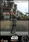 Transport Trooper™ (Prototype Shown) View 2