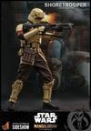 Shoretrooper™- Prototype Shown