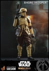 Shoretrooper™- Prototype Shown