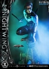 Nightwing Exclusive Edition - Prototype Shown