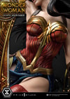 Wonder Woman VS Hydra Collector Edition (Prototype Shown) View 39