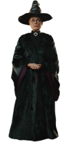 Minerva McGonagall Collector Edition (Prototype Shown) View 9