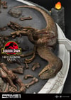 T-Rex Vs Velociraptors in the Rotunda