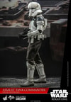 Assault Tank Commander- Prototype Shown