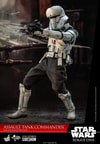 Assault Tank Commander- Prototype Shown