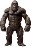 Kong
