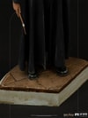 Ron Weasley (Prototype Shown) View 7