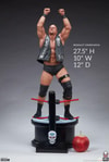 "Stone Cold" Steve Austin