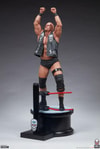 "Stone Cold" Steve Austin