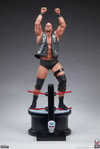"Stone Cold" Steve Austin