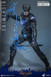 Nightwing (Prototype Shown) View 3