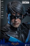 Nightwing (Prototype Shown) View 5