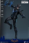 Nightwing (Prototype Shown) View 7