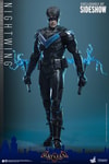 Nightwing (Prototype Shown) View 8