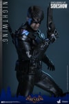 Nightwing (Prototype Shown) View 14