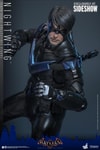 Nightwing (Prototype Shown) View 16