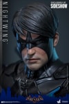 Nightwing (Prototype Shown) View 17