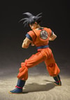 Son Goku (A Saiyan Raised On Earth)