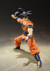 Son Goku (A Saiyan Raised On Earth)