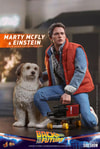 Marty McFly and Einstein