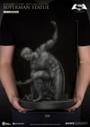 Superman (Prototype Shown) View 9