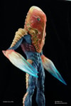 Alien Metron