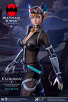 Catwoman Collector Edition - Prototype Shown