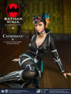 Catwoman Collector Edition - Prototype Shown