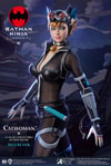 Catwoman (Deluxe Version)- Prototype Shown