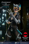 Catwoman (Deluxe Version)- Prototype Shown