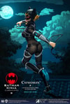 Catwoman (Deluxe Version)- Prototype Shown