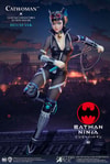 Catwoman (Deluxe Version)- Prototype Shown