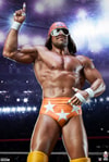 "Macho Man" Randy Savage (Prototype Shown) View 11
