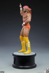 "Macho Man" Randy Savage (Prototype Shown) View 15