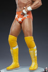 "Macho Man" Randy Savage (Prototype Shown) View 5