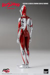 Ultraman (Shin Ultraman) (Prototype Shown) View 15