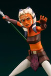 Anakin Skywalker (Prototype Shown) View 23
