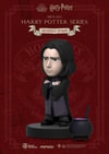 Harry Potter Series