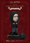 Harry Potter Series