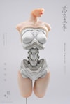 Android EL01 Torso ver.1