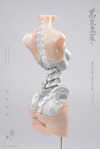 Android EL01 Torso ver.1
